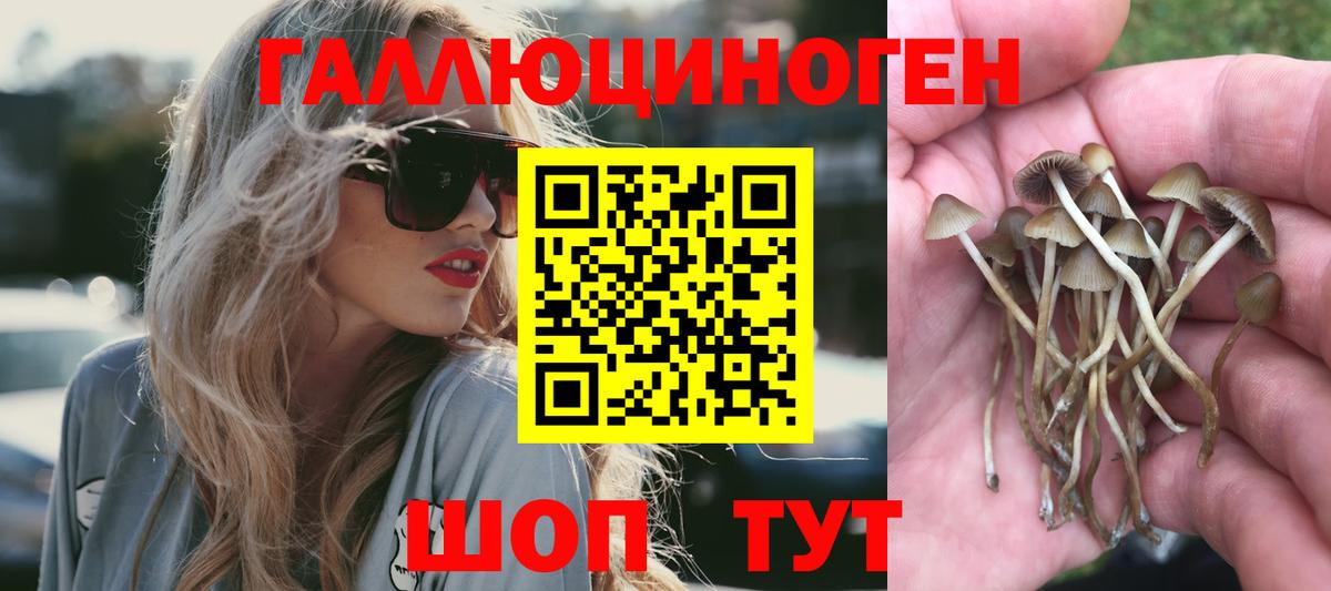 закладка  Псилоцибиновые грибы мицелий  Вход с VPN  Воскресенск 